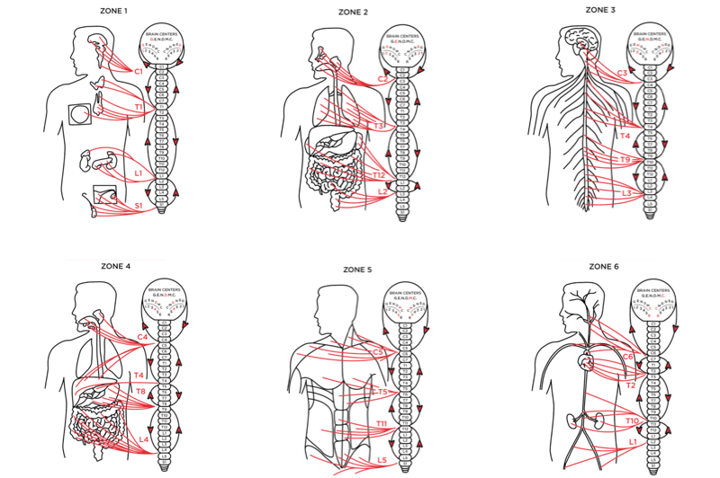 Treatments | Acupuncture by Traci